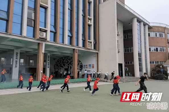 流浪者生存指南：高效捡废品技巧与实用策略分享