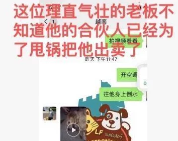 FeelHDXXⅩvioe＂引发热议，网友们对其内容和表现形式展开了激烈讨论，究竟是艺术的创新还是另有隐情？