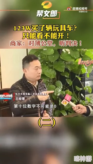 意大利理伦多那泰拉达米亚尼保姆：网友热议其工作态度与职业道德，纷纷表达各自看法与体验分享