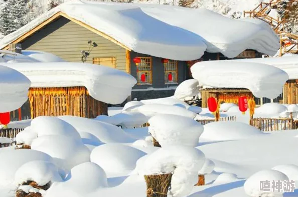 雪屋温泉旅馆120m惊爆消息！游客在冰雪中意外发现神秘温泉，舒适体验引发热议！