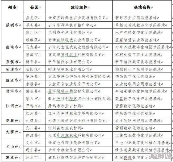 云缨扣币：最新进展揭示其在数字货币市场中的潜力与应用前景分析