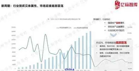 张津瑜国产精品1区2区：分析其在当代消费市场中的影响与发展趋势研究