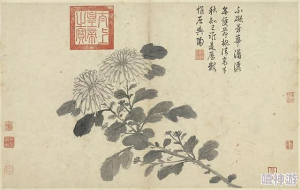 答错一题菊花放一支笔忘羡，探讨文学作品中的情感表达与错误的象征意义