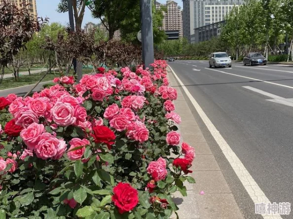 《我的世界》干燥气候生存指南：掌握节水技巧与耐旱作物种植攻略