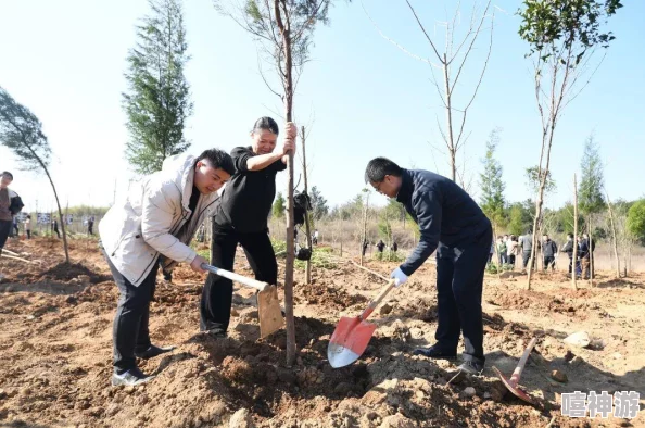 2024热门攻略：地球末日生存圣诞树苗高效获取，三级林提高至最新高概率！