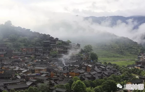 探秘河南各大特色景区，体验丰富文化之旅