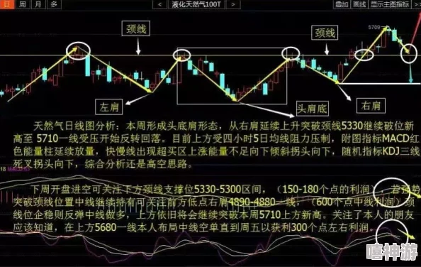 蜻蜓点金详解国债逆回购操作方法｜轻松掌握逆回购投资技巧